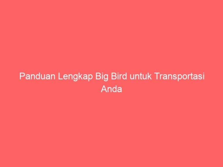 Panduan Lengkap Big Bird untuk Transportasi Anda